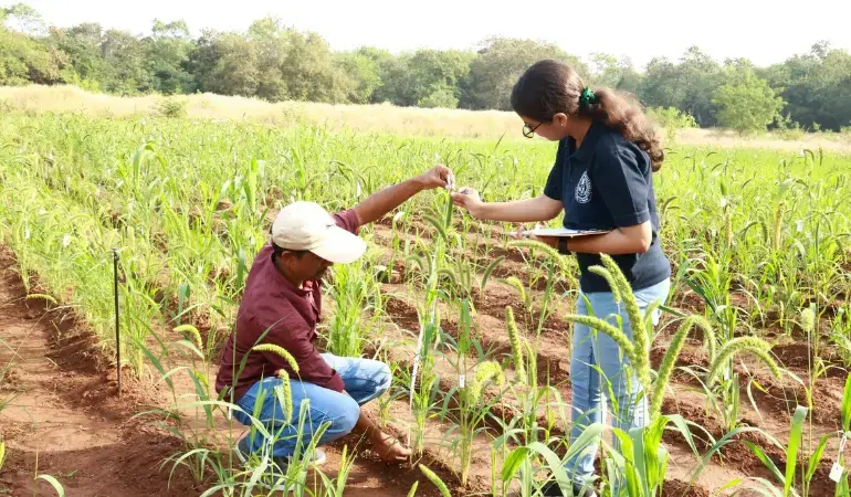 Farmer learning AI technology for modern farming