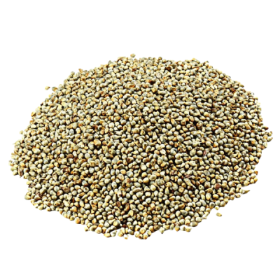 Pearl Millet (Bajra) – Rajasthan Premium Food Grade | Clean & Natural Grain