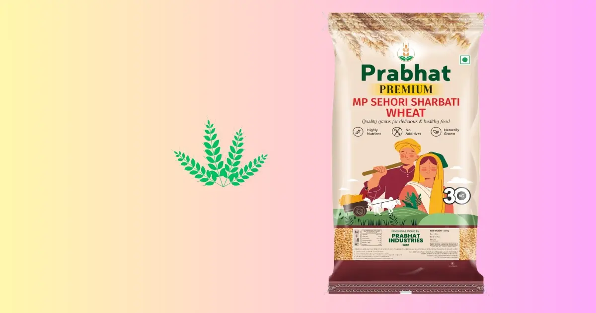 MP Sharbati Wheat – Baran Premium Select Grade | Soft Texture High Purity